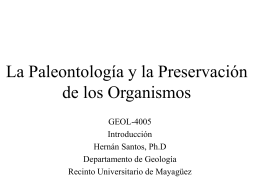 La Paleontología y la Preservación de los Organismos