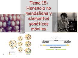 Tema 15: Herencia no mendeliana y elementos genéticos móviles