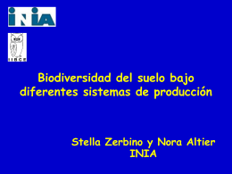 Stella Zerbino y Nora Altier INIA Biodiversidad del suelo bajo