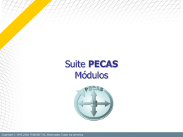 1.1 PECAS Suite PECAS