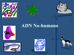 Non-human DNA in Forensics