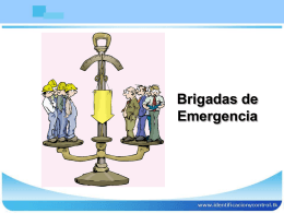 1-estructura-brigadas