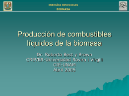 Especialista Universitario en Energías Renovables Biomasa
