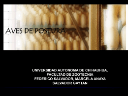 manejo de aves en postura - Universidad Autónoma de Chihuahua