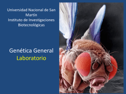 Genética General Laboratorio - Instituto de Investigaciones