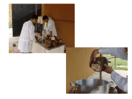 fotos proceso agua de coco