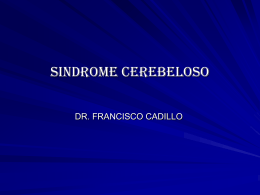 12.sindrome cerebeloso