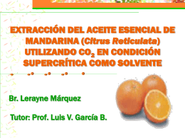 extracción del aceite esencial de mandarina