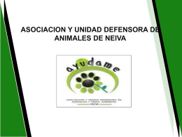 ASOCIACION Y UNIDAD DEFENSORA DE ANIMALES DE NEIVA