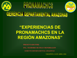 Ing. Teodoro Huiman (PRONAMACHCS – Amazonas)