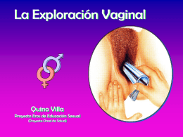 19.Exploracion_vaginal