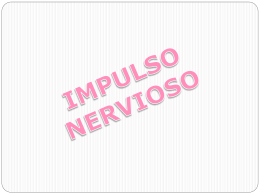 impulso_nervioso_2.0
