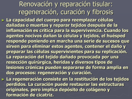 Renovación y reparación tisular, regeneración curación y