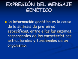 Transcripción del ADN. El ARN mensajero. Traducción genética