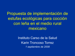 Consumo de leña en México. Proyecto del Instituto