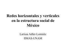 Redes horizontales y verticales en la estructura social de México