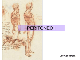 Gráficos de Peritoneo - anatomia