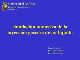 Simulaciones - Universidad de Chile