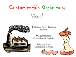 Contaminación Orgánica y Visual