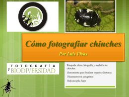 presentacion1 - Biodiversidad Virtual