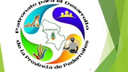 Presentación Patronato Provincia Pedernales