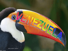 imágenes de venezuelaa