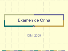 Examen de Orina