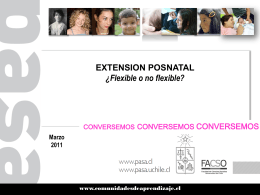 Extension Postnatal Flexibilidad 03.2011