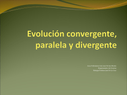 ppt 4 Evolución Convergente y Divergente