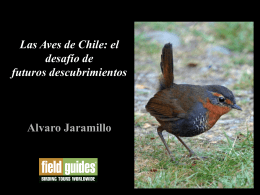 Las Aves de Chile