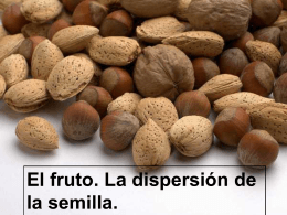 El fruto. Dispersión y germinación de las semillas