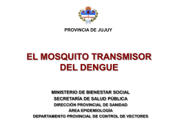 Diapositiva 1 - Ministerio de Salud Jujuy