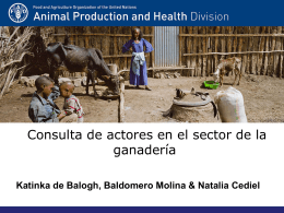 Consulta de interesados/actores en el sector de la ganadería