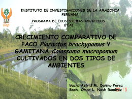 P>t - Instituto de Investigaciones de la Amazonía Peruana