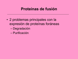proteinas de fusion