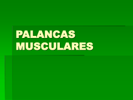 PALANCAS MUSCULARES - IHMC Public Cmaps (3)