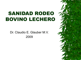 CURSO SANIDAD RODEO BOVINO LECHERO
