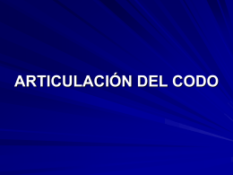 ARTICULACION DEL CODO EXPOSICION