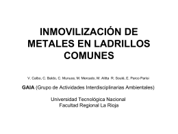 inmovilización de metales en ladrillos comunes - UTN