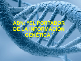 adn: “el portador de la información genética”