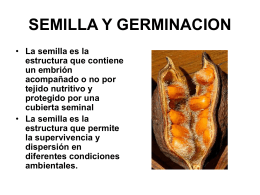 14.SEMILLA Y GERMINACION