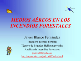 Ingeniero Técnico Forestal Javier Blanco Fernández