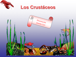 Los crustáceos