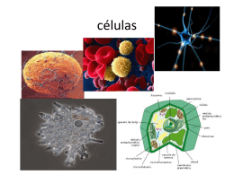 células - campvs.cl