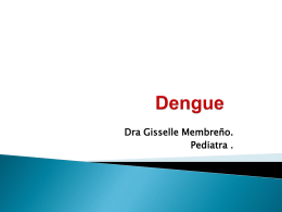 Curso clínico de dengue manejo de casos