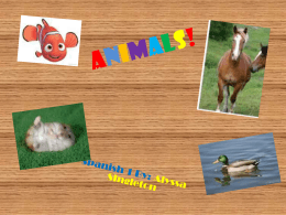 Animals!