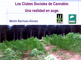 Los clubes sociales de cannabis: una realidad en auge
