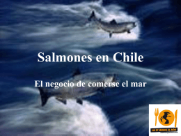 Salmones en Chile - No et mengis el món