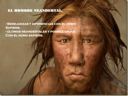 el Hombre de Neandertal - ies claudio sanchez albornoz