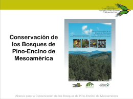 conservación de los bosques de pino-encino